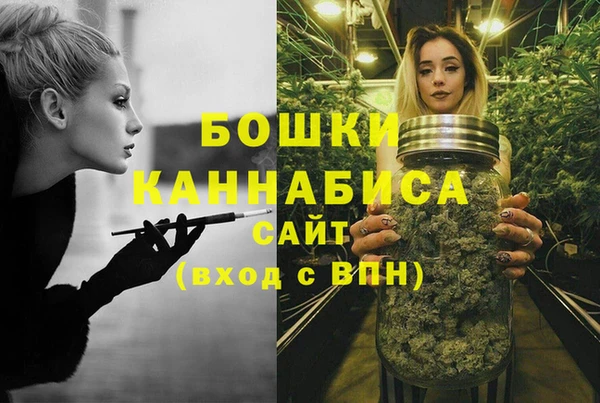стаф Иннополис