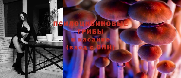 синтетический гашиш Каменск-Шахтинский