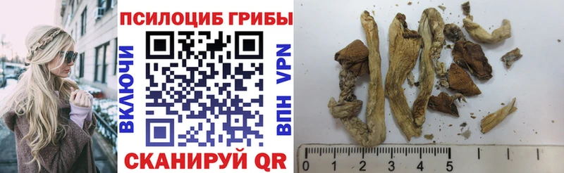 Галлюциногенные грибы Psilocybe Купить Клинцы